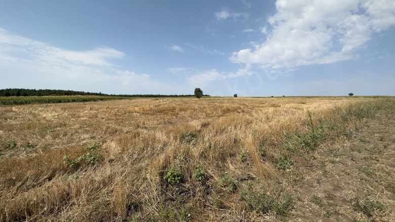 Edirne Süloğlu Satılık Tarla : 2117 M² Resmi Yolu Ve Su Vanası Mevcut Büyük Gerdelli Köyü