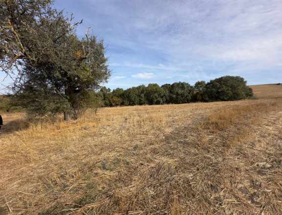 Edirne Uzunköprü Meşeli Köyü Satılık Tarla 2986 M²