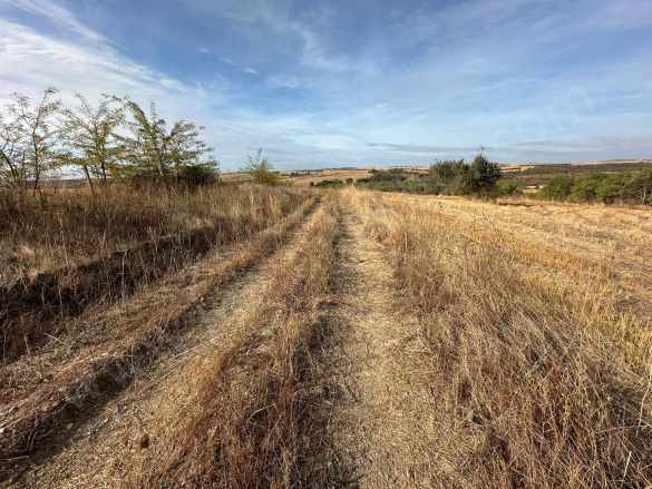 Edirne Uzunköprü Meşeli Köyü Satılık Tarla 2986 M²