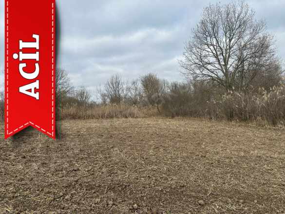 Kırklareli Pehlivanköyde Asfalt Cepheli Satılık Tarla (500M²) Kuştepe Köyü