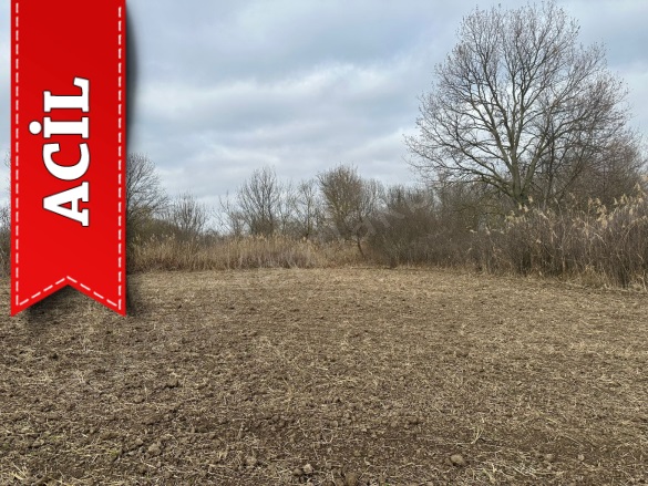 Kuştepe Köyü Pehlivanköy Acil Satılık Tarla |  501M2 675.000Tl Resim-2