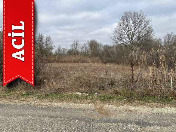 Kırklareli Pehlivanköy Kuştepe Asfalt Yol Cepheli Satılık Tarla Köyü