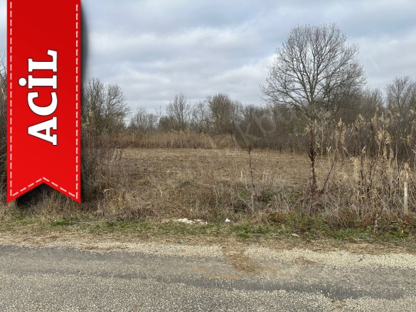 Kuştepe Köyü Pehlivanköy Acil Satılık Tarla |  501M2 675.000Tl Resim-3