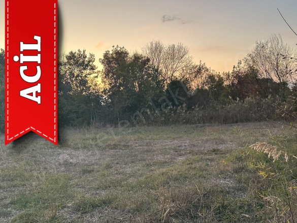 Kuştepe Köyü Pehlivanköy Acil Satılık Tarla |  501M2 675.000Tl Resim-4