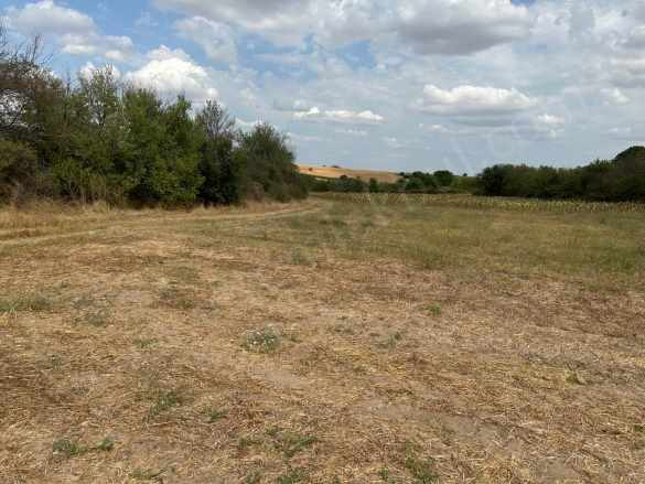Edirne Havsa Şerbettar Köyü Satılık Tarla 2200 M2