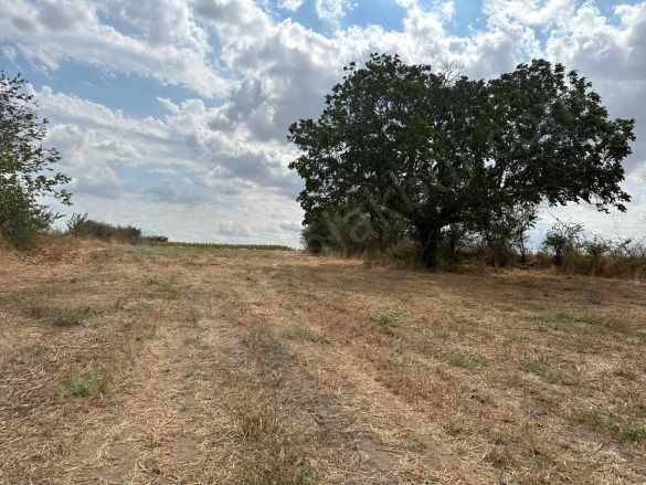 Edirne Havsa Şerbettar Köyü Satılık Tarla 2200 M2