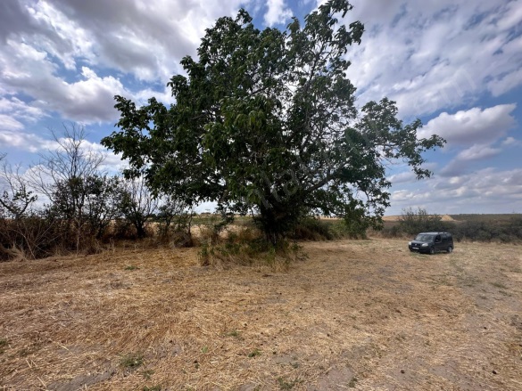 Şerbettar Köyü Havsa Satılık Tarla |  2200M2 995.000Tl Resim-4