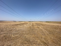 Lüleburgaz Küçükkarıştıran Mah-Büyükkarıştı. Satılık Tarla 388 M2