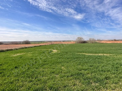 Kırklareli Babaeski Yenimahalle Satılık Tarla Hisseli Parsel 452 M2 Köyü