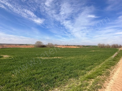 Kırklareli Babaeski Yenimahalle Satılık Tarla Hisseli Parsel 754 M2 Köyü