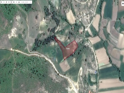 Balıkesir Sındırgı Kınık Köyü Satılık Tarla 4604 M2 Tek Tapu Mah