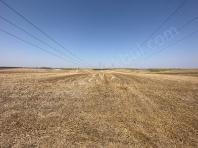 Lüleburgaz Küçükkarıştıranda Satılık Tarla 388 M² Hisseli Parsel Küçükkarıştıran Mah-Büyükkarıştı