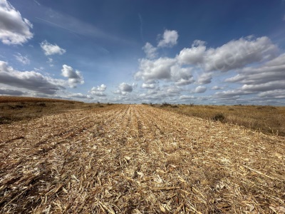 Edirne Süloğlu Büyük Gerdelli Satılık Tarla 3430 M2 Resmi Yolu Var Köyü