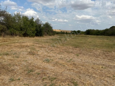 Edirne Havsa Şerbettar Köyü Satılık Tarla 2200 M2