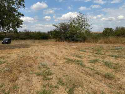 Ackerland Kaufen In  Türkei, Edirne, Havsa, Serbettar Koyu , 2200 m2