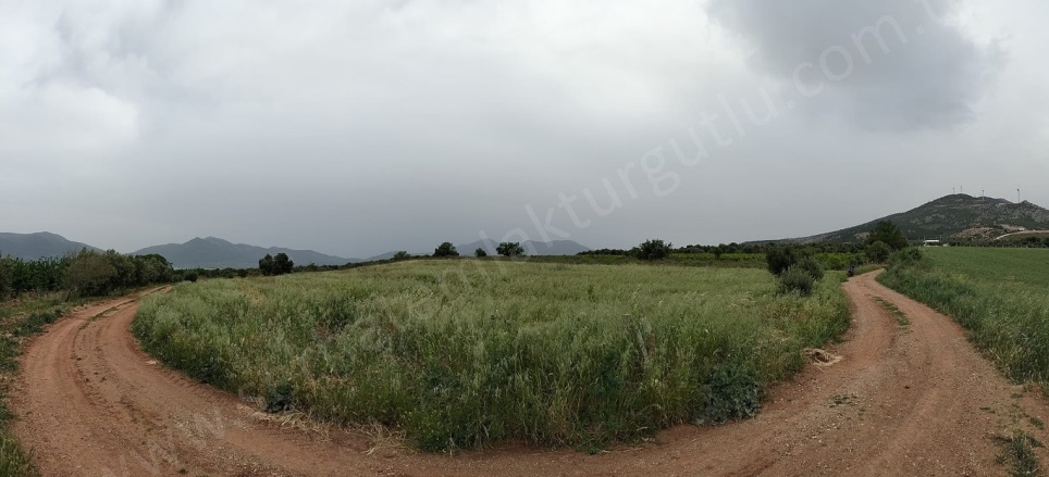 Sancaklıiğdecik Mah. Şehzadeler Satılık Bağ |  11800M2 8.300.000Tl Resim-1