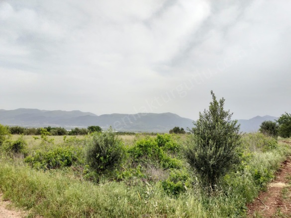 Sancaklıiğdecik Mah. Şehzadeler Satılık Bağ |  11800M2 8.300.000Tl Resim-2