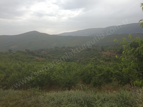 Karaköy Mah. Turgutlu Satılık Tarla |  4464M2 1.750.000Tl Resim-2