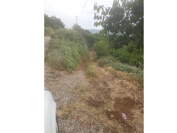 Karaköy Mah. Turgutlu Satılık Tarla |  4464M2 1.750.000Tl Resim-5