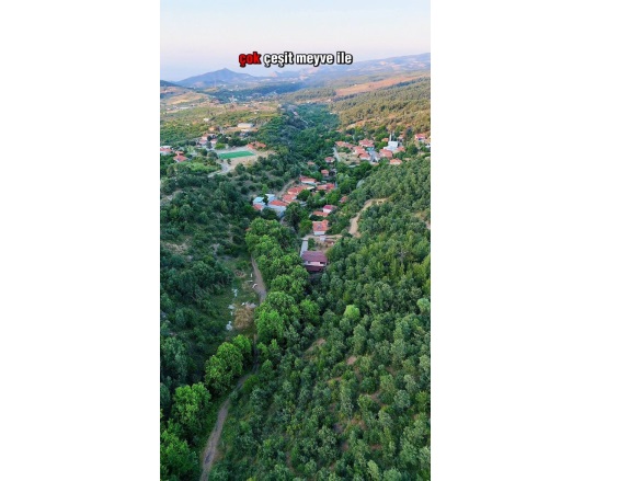 Dağyeniköy Mah. Turgutlu Satılık Bağ |  1441M2 1.440.000Tl Resim-2