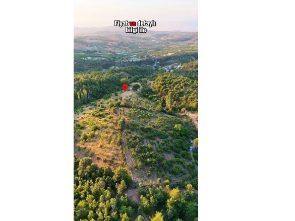 Dağyeniköy Mah. Turgutlu Satılık Bağ |  1441M2 1.440.000Tl Resim-5