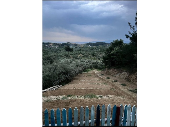 Yayla Mah. Turgutlu Satılık Tarla |  900M2 1.350.000Tl Resim-4