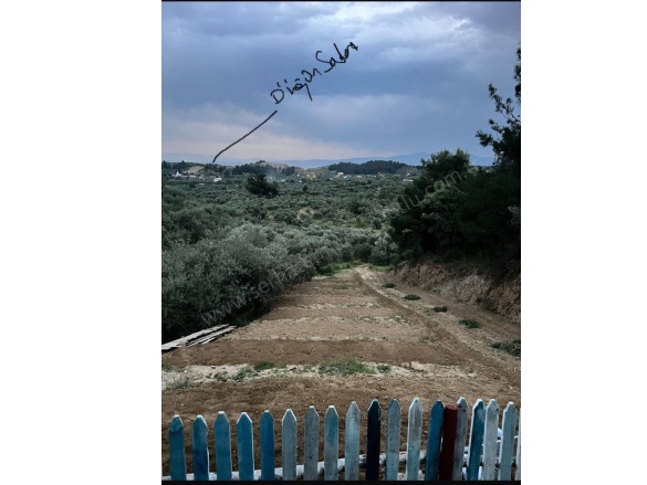 Yayla Mah. Turgutlu Satılık Tarla |  900M2 1.350.000Tl Resim-5