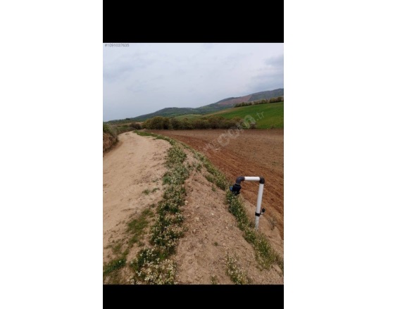 Akören Mah. Salihli Satılık Tarla |  11585M2 1.800.000Tl Resim-2