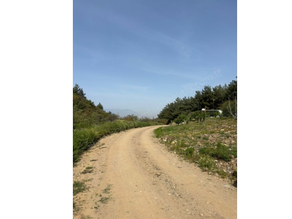 Dalbahçe Mah. Turgutlu Satılık Tarla |  1230M2 1.250.000Tl Resim-4