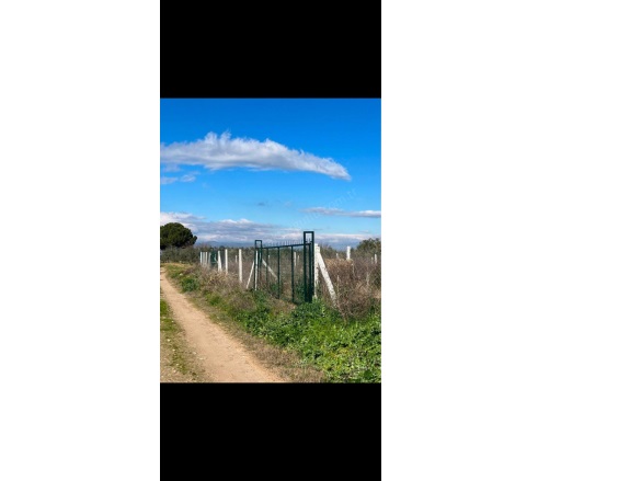 Akçapınar Mah. Turgutlu Satılık Tarla |  850M2 1.350.000Tl Resim-2