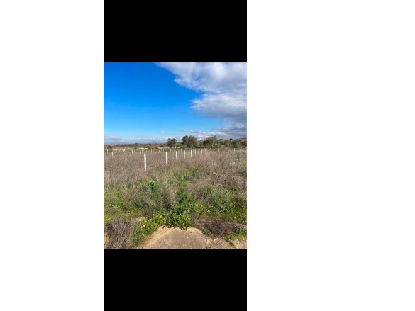 Akçapınar Mah. Turgutlu Satılık Tarla |  850M2 1.350.000Tl Resim-4