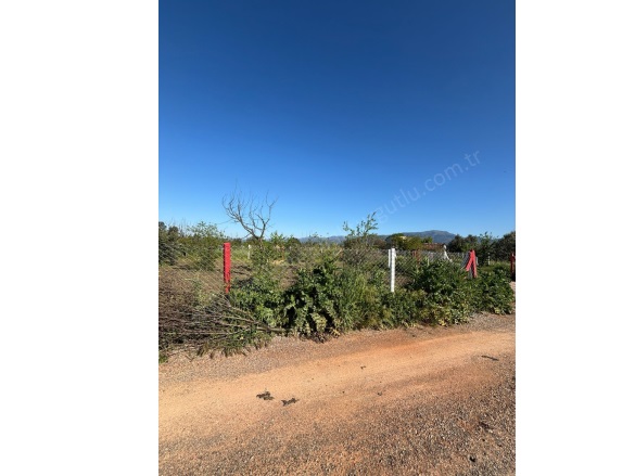 Yukarıkızılca Merkez Mah. Kemalpaşa Satılık Tarla |  400M2 820.000Tl Resim-2