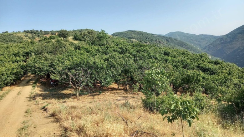 Kayrak Mah. Turgutlu Satılık Tarla |  4130M2 1.700.000Tl Resim-3