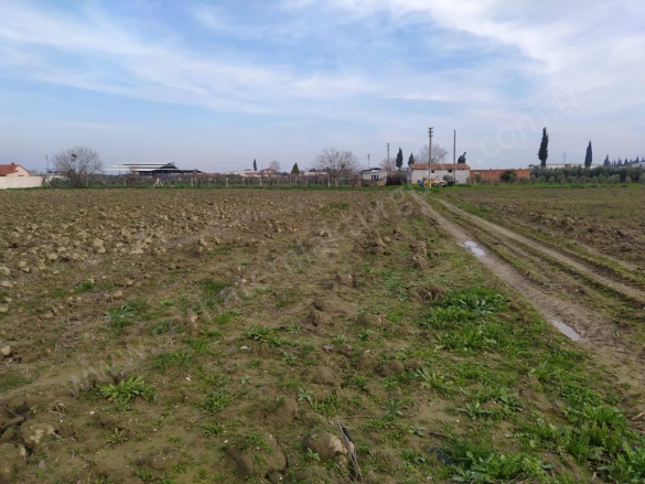 Mustafa Kemal Mah. Turgutlu Satılık Tarla |  6191M2 4.890.000Tl Resim-3