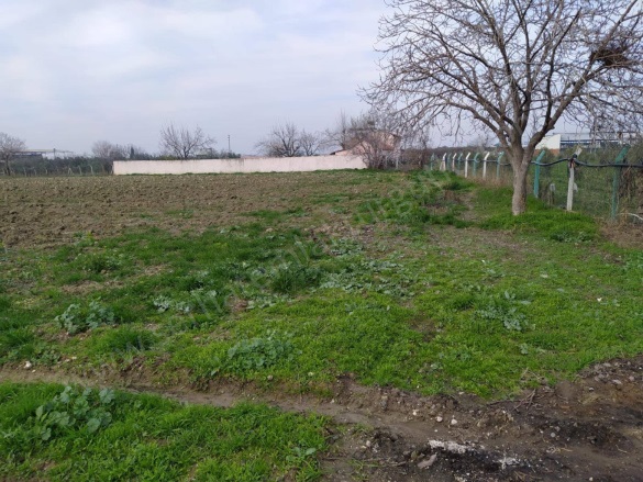 Mustafa Kemal Mah. Turgutlu Satılık Tarla |  6191M2 4.890.000Tl Resim-4