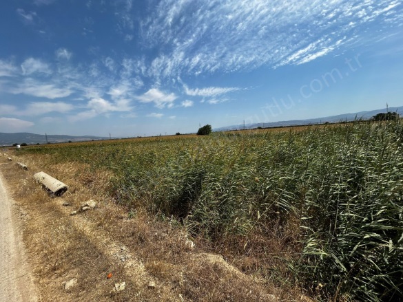 Mustafa Kemal Mah. Turgutlu Satılık Arazi |  1040M2 2.000.000Tl Resim-5