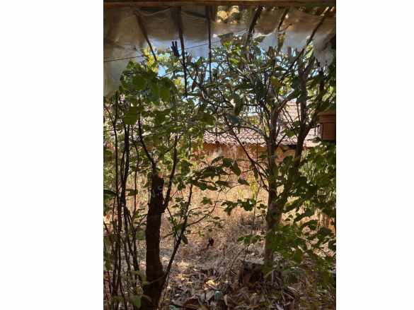 Turgutlu Satılık Müstakil Ev Ahmetli Alahıdır Köyü 435M2 içinde Avlulu Köy Evi 2+1 Mah