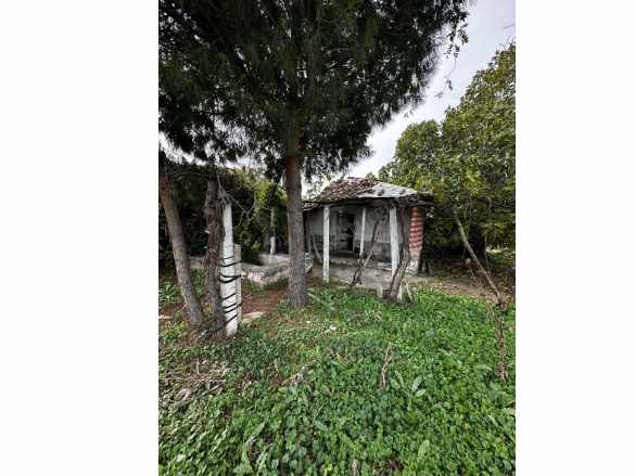 Turgutlu Satılık Arazi 9 Mıntıkada 14 Dönüm 2 Tapudan Oluşmaktadır Mustafa Kemal Mah