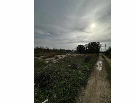 Turgutlu Satılık Arazi 9 Mıntıkada 14 Dönüm 2 Tapudan Oluşmaktadır Mustafa Kemal Mah