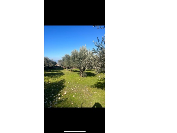 Derbent Mah. Turgutlu Satılık Arsa |  166M2 1.650.000Tl İmarlı  Resim-1