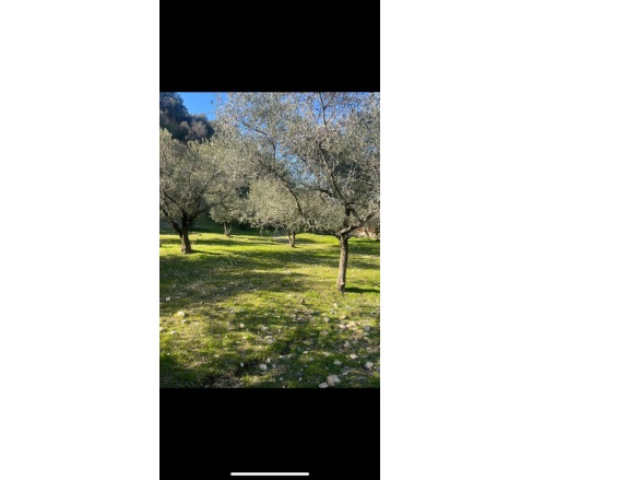 Derbent Mah. Turgutlu Satılık Arsa |  166M2 1.650.000Tl İmarlı  Resim-2