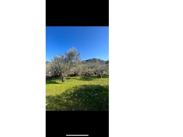 Derbent Mah. Turgutlu Satılık Arsa |  166M2 1.650.000Tl İmarlı  Resim-3