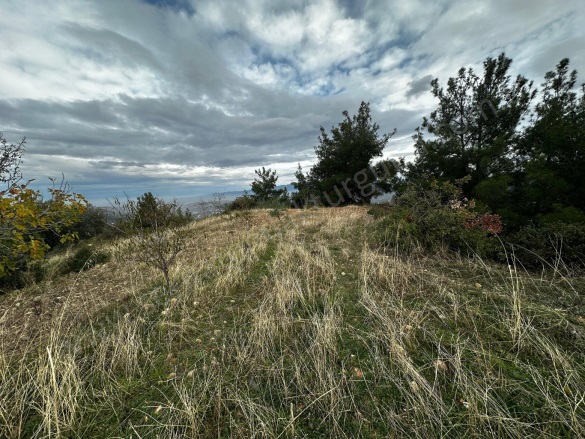 Irlamaz Mah. Turgutlu Satılık Tarla |  5870M2 5.250.000Tl Resim-1