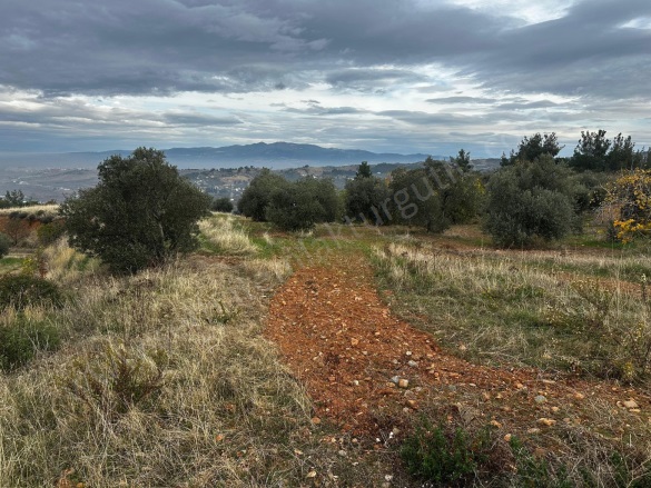 Irlamaz Mah. Turgutlu Satılık Tarla |  5870M2 5.250.000Tl Resim-2