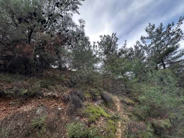 Turgutlu Satılık Tarla Irlamaz Mah 5 870M2 Tek Tapu Özlellikleri Açıklamada
