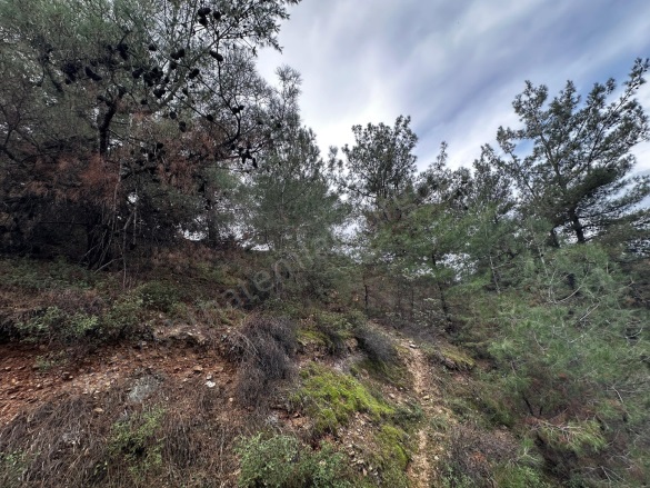 Irlamaz Mah. Turgutlu Satılık Tarla |  5870M2 5.250.000Tl Resim-3