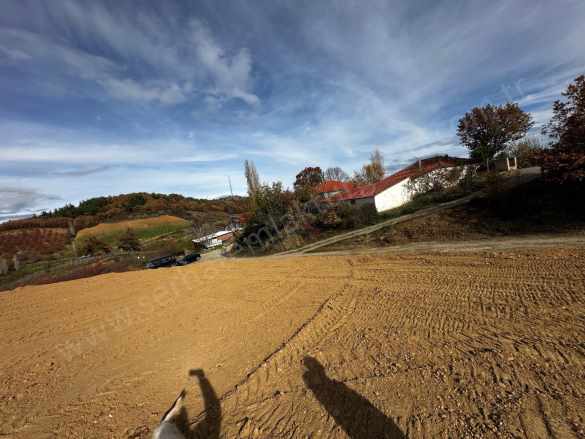 Turgutlu Satılık Arazi Dağyeni Köyde 4 800M2 Köy içinde Tek Tapu Meyvalık Takasa Açık Dağyeniköy Mah
