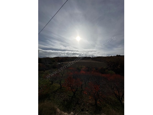 Dağyeniköy Mah. Turgutlu Satılık Arazi |  4800M2 5.750.000Tl Resim-3