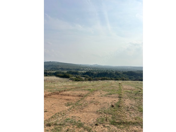 Musalaryeniköy Mah. Turgutlu Satılık Arazi |  750M2 680.000Tl Resim-2