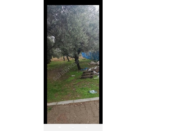 Avşar Mah. Turgutlu Satılık Arsa |  265M2 2.400.000Tl Resim-3